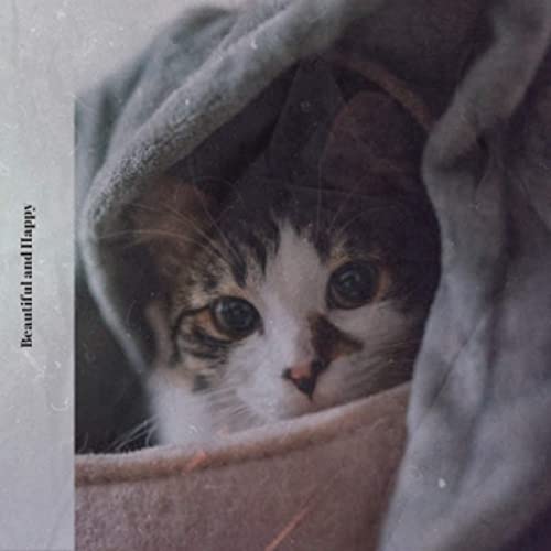 Album cover: After the War — Soon Chang